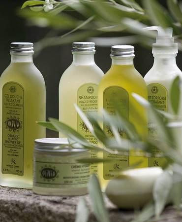 Acheter le/la vrai(e) Shampooing "Usages fréquents" à l'huile d'olive, certifié BIO