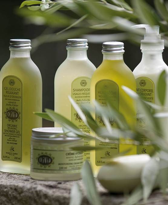 Acheter l'authentique Shampooing "Usages fréquents" à l'huile d'olive, certifié BIO