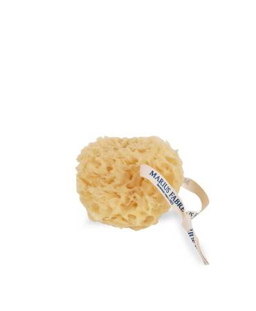 Acheter le/la vrai(e) Mediterranean vegetable sponge, 6 to 8 cm