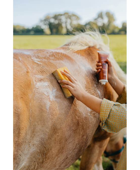Acheter l'authentique Shampooing à l’huile d’olive 250ml CHEVAUX