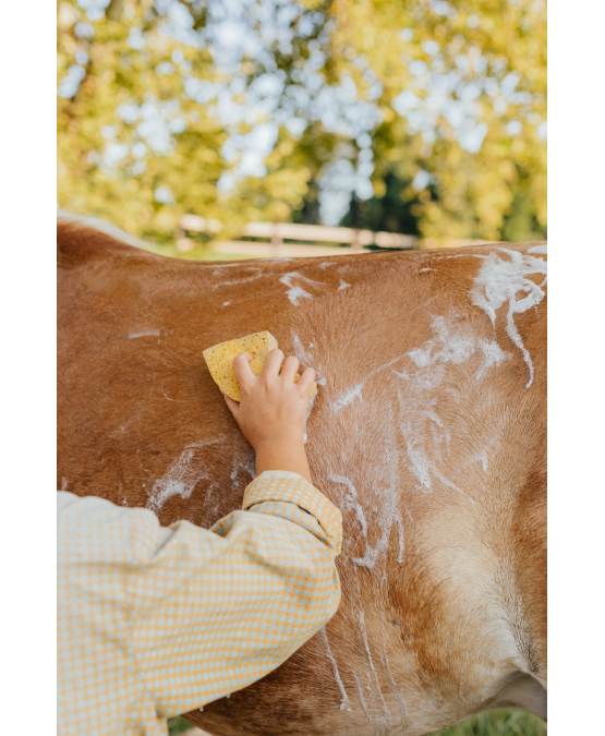 Acheter l'authentique Shampooing à l’huile d’olive 5L CHEVAUX