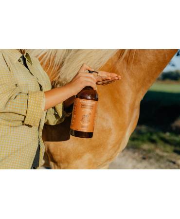 Acheter le/la vrai(e) Shampooing à l’huile d’olive 1L CHEVAUX