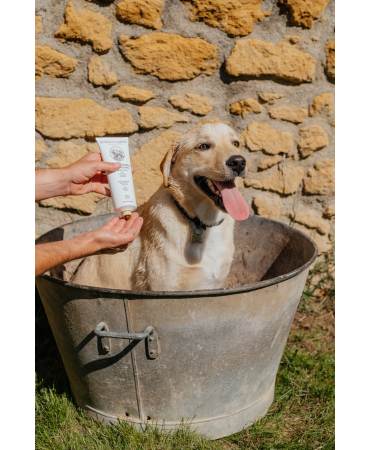 Acheter le/la vrai(e) L’indispensable shampooing à l’huile d’olive 250ml CHIEN