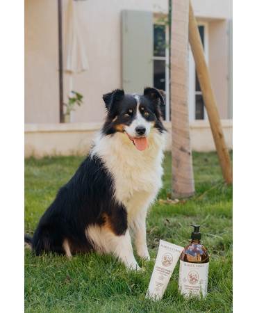Acheter le/la vrai(e) L’indispensable shampooing à l’huile d’olive 1L CHIEN