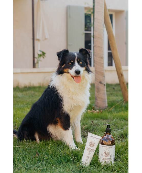Acheter l'authentique L’indispensable shampooing à l’huile d’olive 1L CHIEN