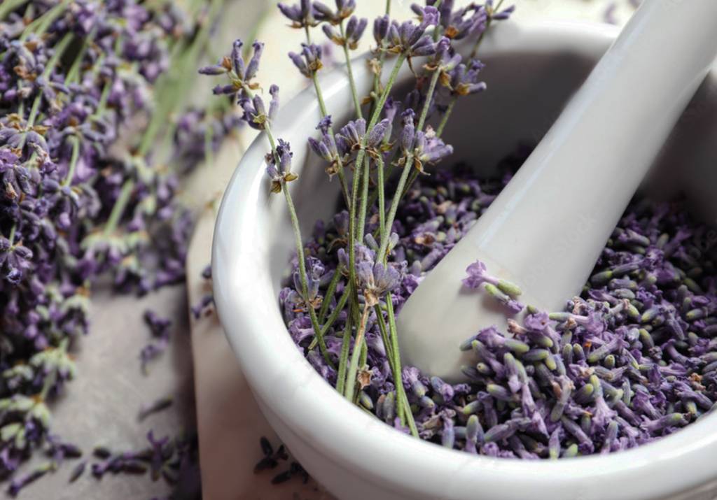 Comment intégrer la lavande dans votre routine beauté ?