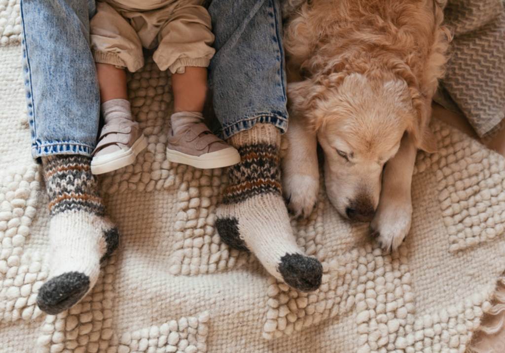 ¿Cómo se limpian las alfombras de forma natural?