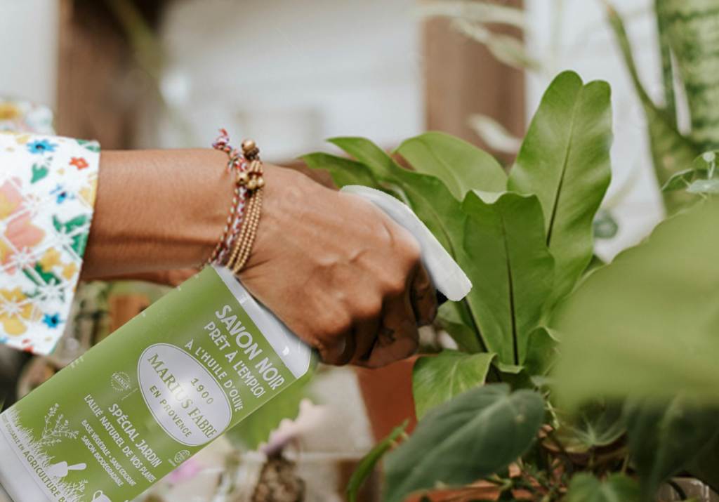 Jabón negro para proteger su jardín y su huerto