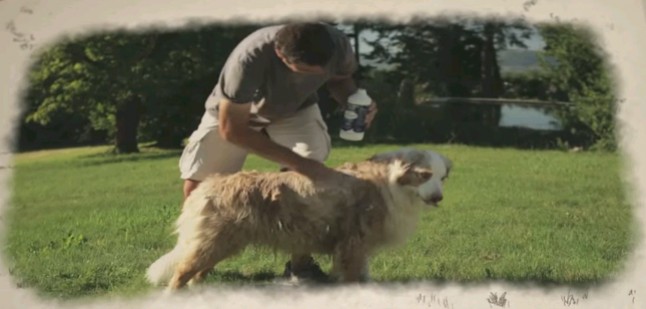 Le savon noir pour laver les chiens et animaux domestiques 