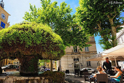 Voyage aux quatre coins de la Provence - Etape n°1 : Salon-de-Provence