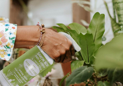 Jabón negro para proteger su jardín y su huerto