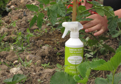 Le savon noir pour protéger son jardin et son potager  