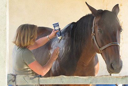 Comment laver les chevaux au savon noir ? 