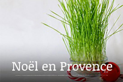 Noël en Provence: le blé de la Sainte Barbe
